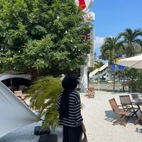 suhadekda92