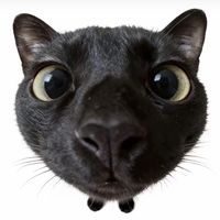 nhạc nền - Ngọc Ánh 0710