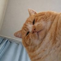 pebarahoonndivaa_