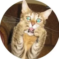 original sound - all_zero._.k