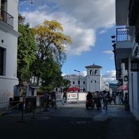 meneses_099