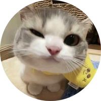 nhạc nền - chưa mối tình đầu