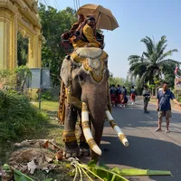 original sound - pichai1997