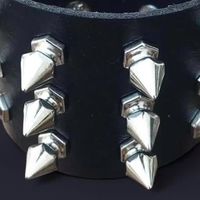 zxv096a