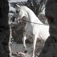 a2_ss12