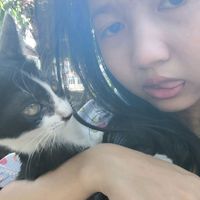 original sound - Nik.