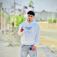 الصوت الأصلي