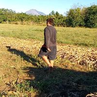 fandelasmotos.ns200
