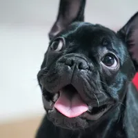 original sound - beamthanyaa