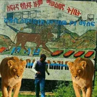 original sound - piredantmamemame