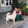 pashupati.pashupati1