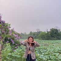 sandh_yasalamimagar556