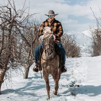 ronlupa_horsemanship