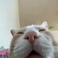 original sound - menocringe