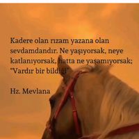 orijinal ses