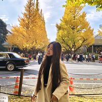 linlin99831