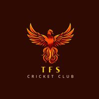 tfs..11