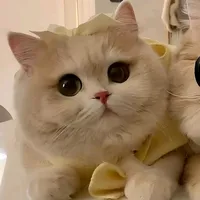 original sound - e_ployyxo46