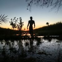 الصوت الأصلي