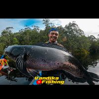 vandikafishing