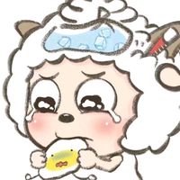 yemeixiaoli2010
