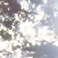 original sound - envie.ngg