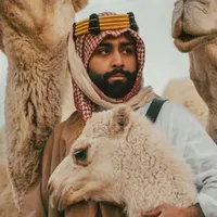 original sound - tiger66311