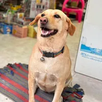 original sound - long_longja