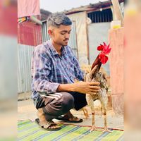 ashaduzzamanraha1