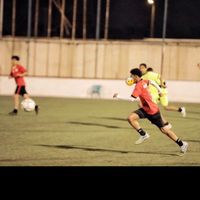 y_tv15