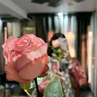 nasira4844