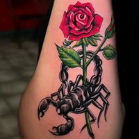 scorpioops1