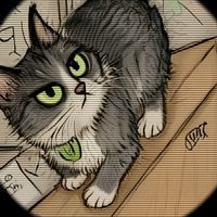 licy_03