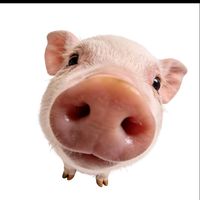 original sound - m l i a aღ