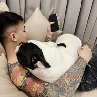 nhạc nền - Công Hạnh