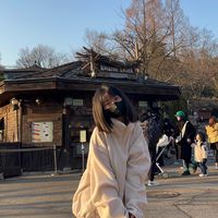 _noraee4