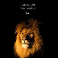 faridaliyevf0