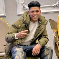 الصوت الأصلي