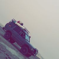 النمر الوردي