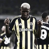 orijinal ses
