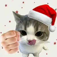 original sound - cattt465