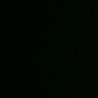 salafi_aylin