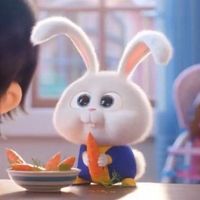 hwangdo_o