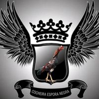 user5907204113692