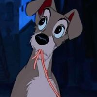 stabble