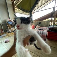 phitchaphon89