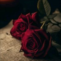 .ameer.waleed