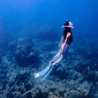 nhạc nền - Sun Freediving