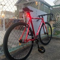 poti0218.tsunami
