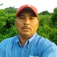 bonilla.251